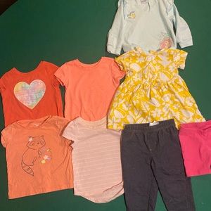 Toddler Girl Clothes Bundle 18M